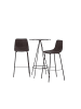 ebuy24 Barmöbelset Bistro 2 (3-teilig) Schwarz 60 x 60 cm