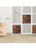 relaxdays 6 x Aufbewahrungsbox in Schwarz/ Braun - (B)30 x (H)30 x (T)30 cm