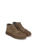 Kazar Sneaker Low in Khaki