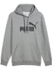 Puma Hoodie "ESS No.1 Logo Hoodie FL" in Grau