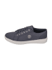 Timberland Sneaker Low ALSTON LOW LACE in blau