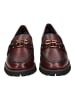 ara Slipper in Marone
