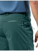 Jack Wolfskin Shorts für Herren in uni