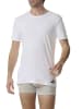adidas T-Shirt T-Shirt Basic 4P in White