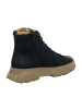 Paul Green Schnürboots in Blau