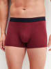 Calida New Boxer in garnet