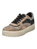 Igi&Co Sneaker in Fango