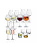 Villeroy & Boch 16er Set Gläserset Rose Garden in transparent