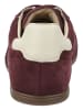 GANT Footwear Sneaker in Wine