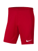 Nike Nike Dry Park III Jr in Rot