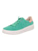 Legero Sneakers Low REJOISE in Columbia