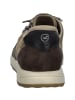Josef Seibel Sneaker Clint 07 in beige