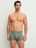 Calida New Boxer in agave green