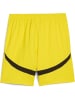 Puma Sporthose "BVB Shorts Replica" in Gelb