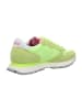 Sun68 Sneaker Low in Gelb