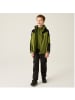 Regatta Trekktain 3 in 1 Jacke  Wasserdicht mit Kapuze in Oliv