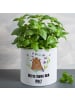 Mr. & Mrs. Panda XL Blumentopf Bär Königin mit Spruch in Weiß