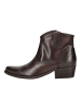 Felmini Stiefelette WEST Dunkelbraun