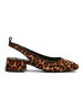 Steve Madden Pumps in Leopard