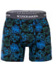 Scotch & Soda Boxershort 3er Pack in Blau/Grün