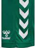 Hummel Verstellbare Taille Kurze Hose Hmlcore Kinder in EVERGREEN
