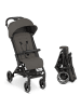 ABC-Design Buggy & Sportwagen Ping Two Trekking mit in grau