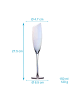 Intirilife Champagner Glas Set 150 ml Sekt Prosecco Gläser in 4x mit Regenbogen Schimmer