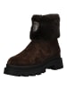 BLAUER USA Stiefelette in Dunkelbraun