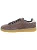 Sun68 Sneaker Low in braun