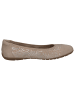 Caprice Ballerina in BEIGE COMB