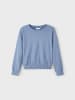 name it Sweatshirt in wild wind