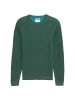 Tom Tailor Pullover STRUCTURED CREWNECK in Grün