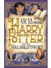 Carlsen Buch - Harry Potter und der Halbblutprinz (Harry Potter 6)