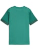 Puma Sportshirt "TeamGoal Matchday Jersey jr" in Grün