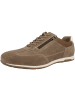 Josef Seibel Sneaker low Colby 03 in braun