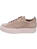 Paul Green Sneaker Low in braun