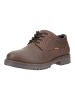 Camel Active Halbschuhe in Cafe