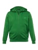 Men Plus Sweatshirt in hellgrün
