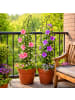 relaxdays 4 x Rankgitter "Blatt" in Braun - (B)30 x (H)100 cm