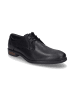 Josef Seibel SHOES "Jonathan 03" in schwarz