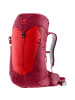 Deuter AC Lite 24 in Rot4563
