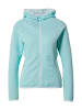 Icepeak Kapuzen-Fleecejacke ICEPEAK BERRYVILLE in Blau