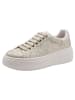Tamaris Sneaker in CHAMPAGNE