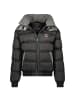 Geographical Norway Winterjacke in Schwarz/Grau