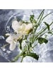 Guerlain Eau de Toilette Spray Aqua Allegoria Herba Fresca 75 ml