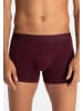 Bruno Banani Retro Short / Pant Flowing in Dunkelrot / schwarz