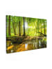 MuchoWow Leinwand bilder Waldlicht (BxH)
