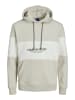 Jack & Jones Sweatshirt JORLAKEWOOD in Mehrfarbig