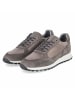 Bullboxer Low Sneaker in grau