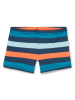 Sanetta Badeshorts in Blau